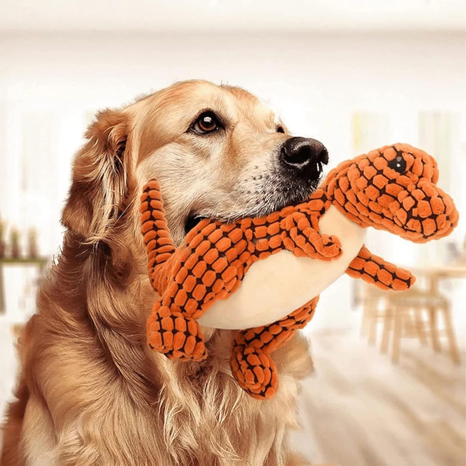 DinoBear Peluche pour chiens – Pattes Pattounes