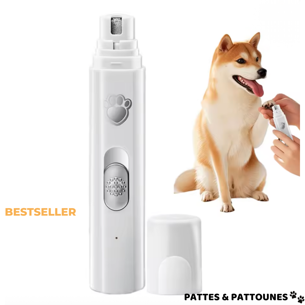 PawLiner - Lime à ongle électrique pour animaux