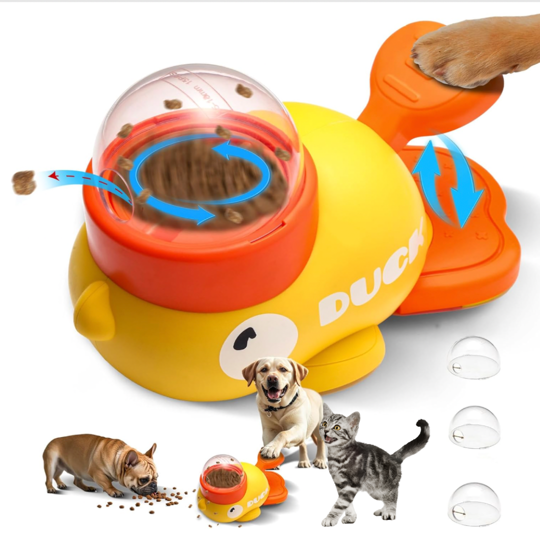 SmartDuck - Distributeur de friandises interactif