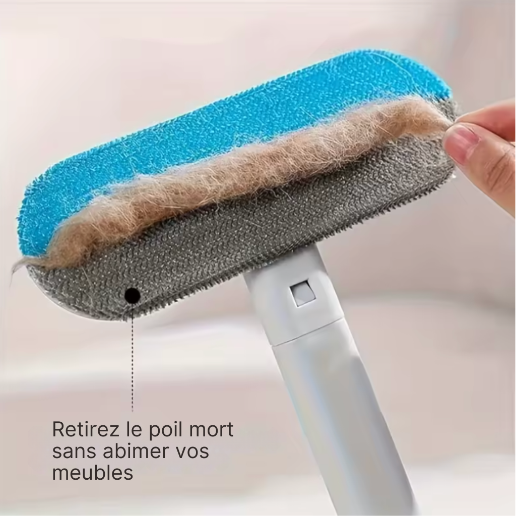 PoliClean - Brosse Multifonctionnelle
