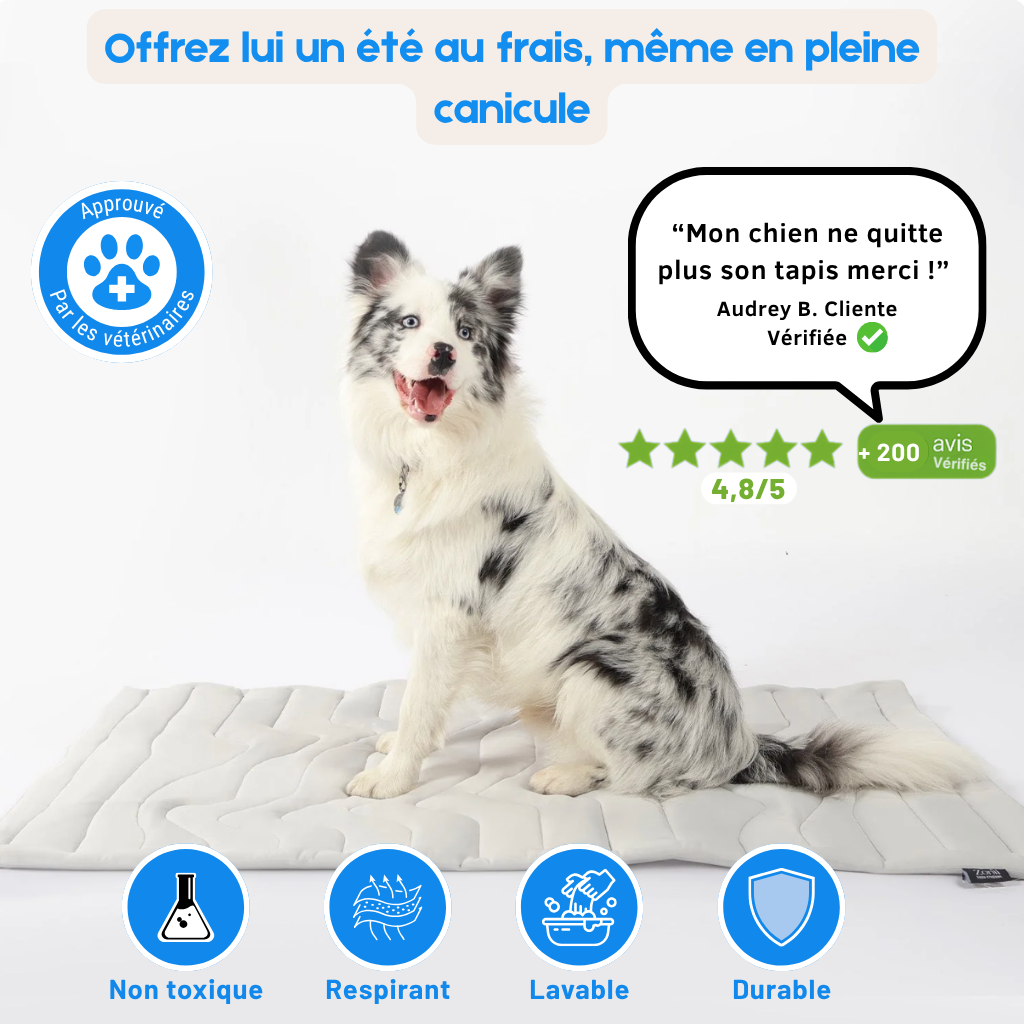 CooliMat - Tapis Rafraîchissant pour Chien