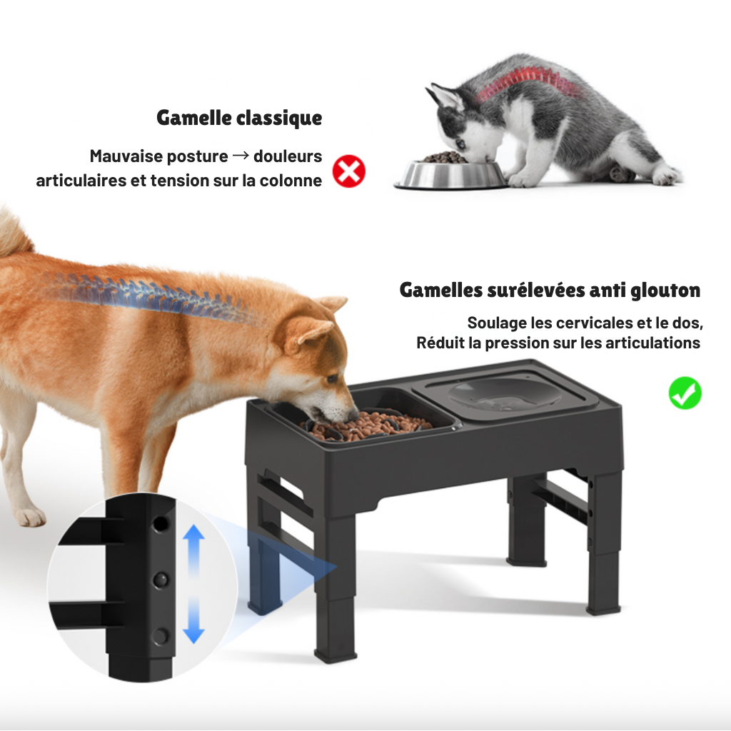 FlexiBowl™ – Double Gamelle surélevée