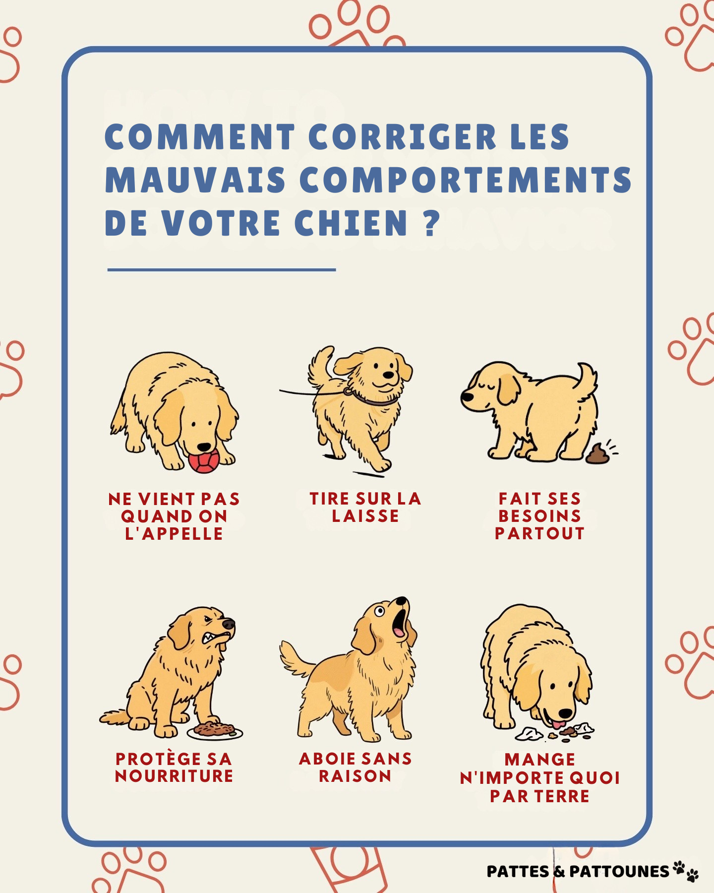 E-book : Comment ajuster les mauvais comportements de votre chien ?