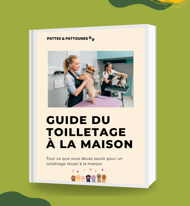 Le Guide Pratique du Toilettage à la Maison