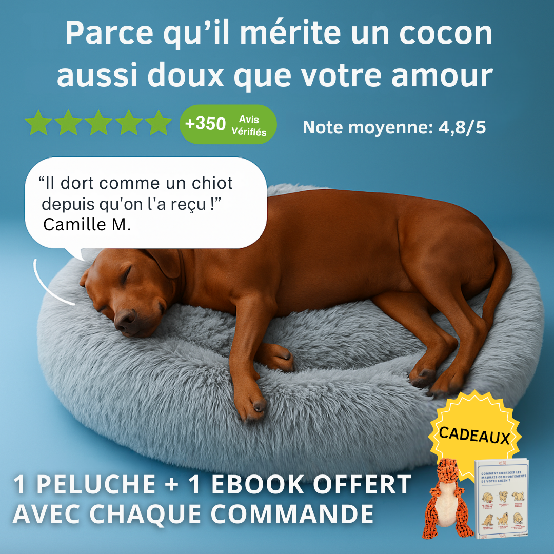 ComfyBed - Panier douillet à mémoire