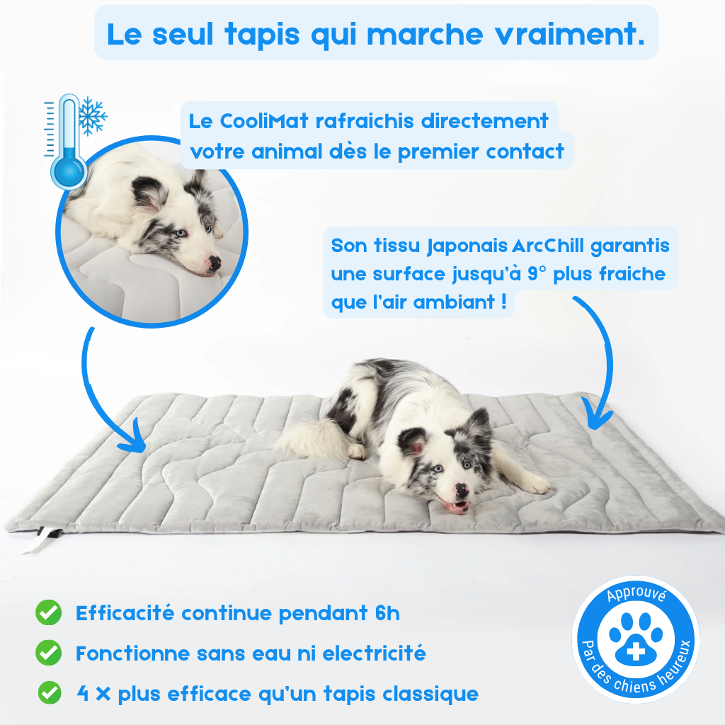 CooliMat - Tapis Rafraîchissant pour Chien