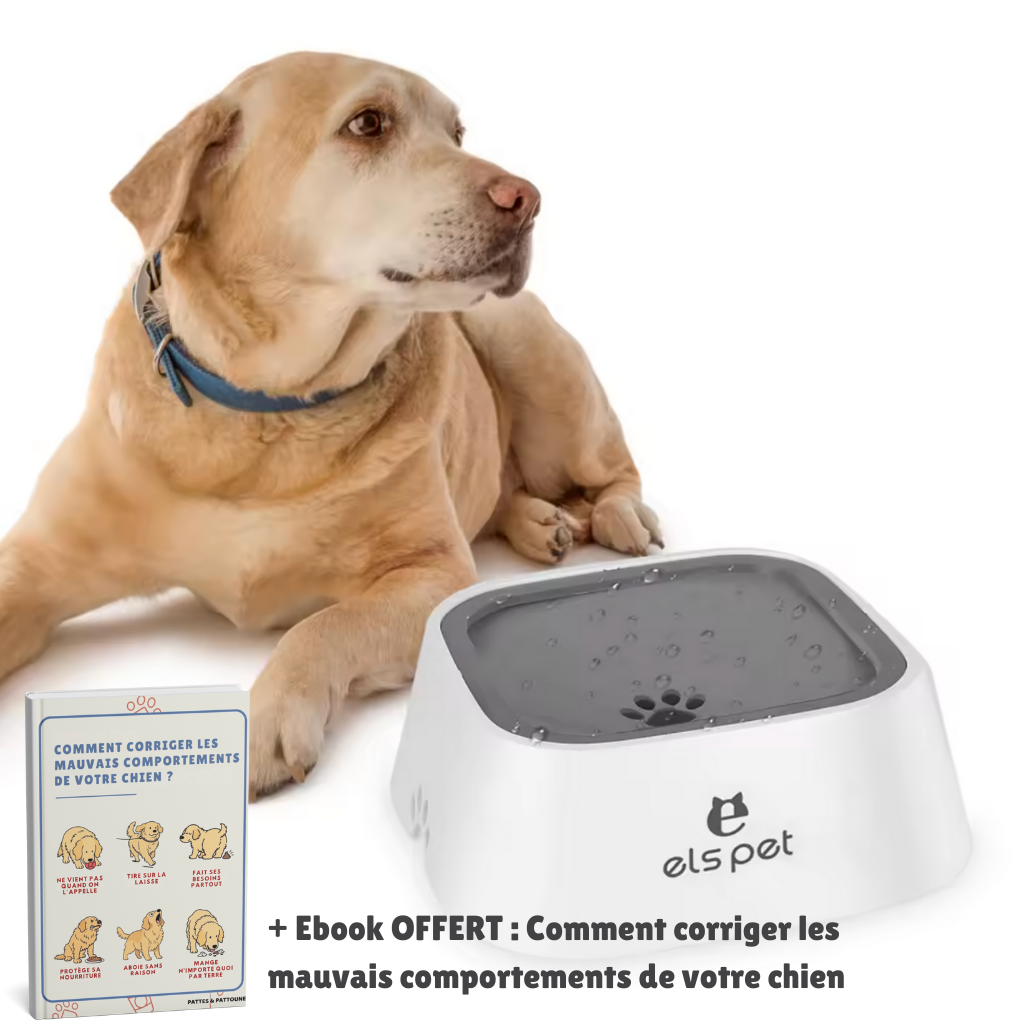 Pet Bowl - Gamelle Anti-Éclaboussure