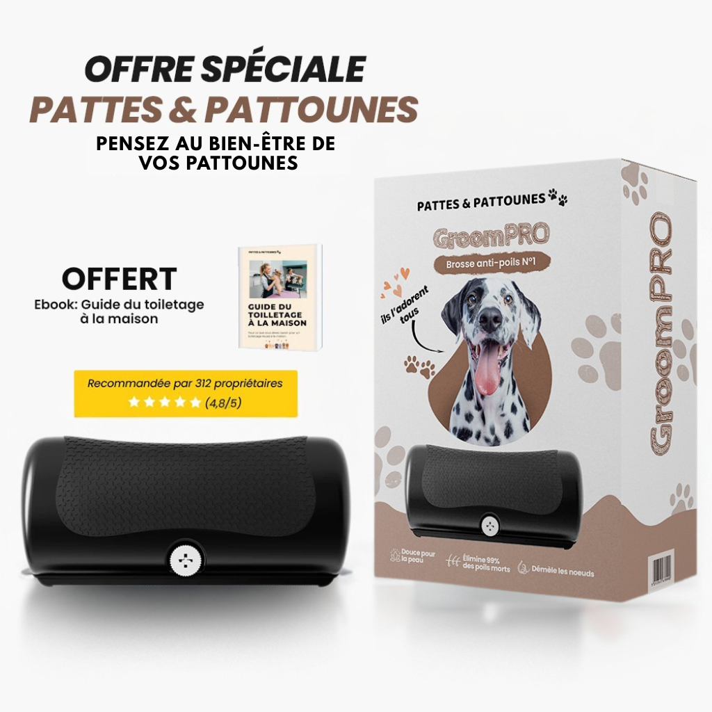 GroomPro - Brosse de toilettage