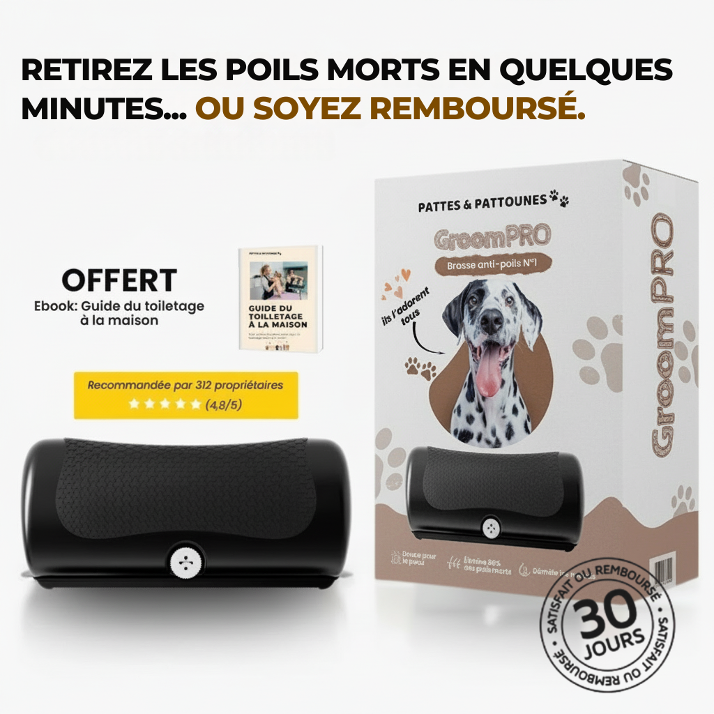 GroomPro - Brosse de toilettage